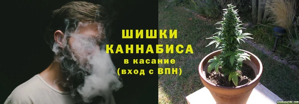 гидропоника Мегион