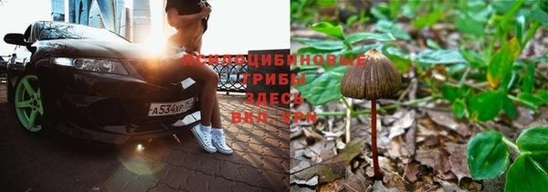 гидропоника Мегион